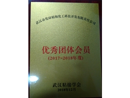 武漢粘接學(xué)會(huì)“優(yōu)秀團(tuán)體會(huì)員”