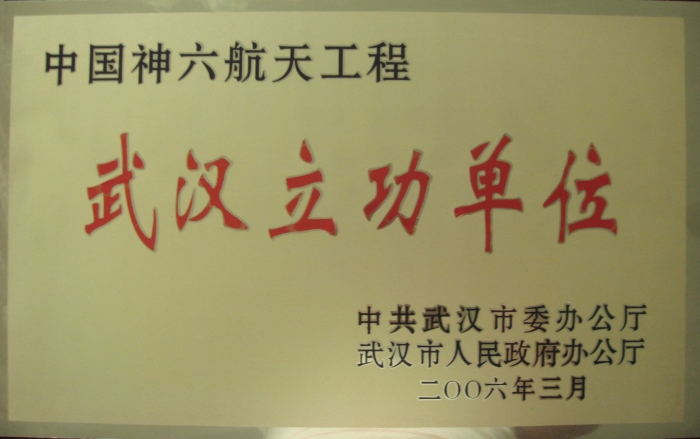 武漢市委、市人民政府表彰